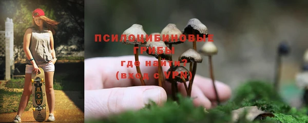 мет Белокуриха